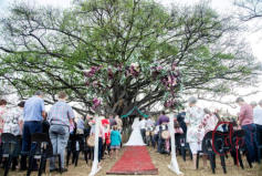 Weddings at Ba Batle Game Farm, Limpopo