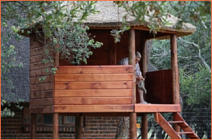 game farm babatle, game photography, game farm limpopo,game farm accommodation,